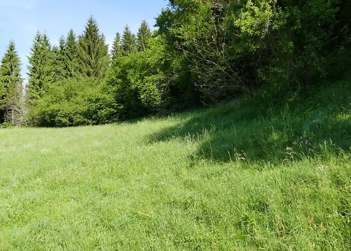 Apartamento Sommerfrische In Einem Der 1960er Jahre *